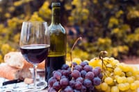 Private Premium Gastronomic Experience in Santiago 6