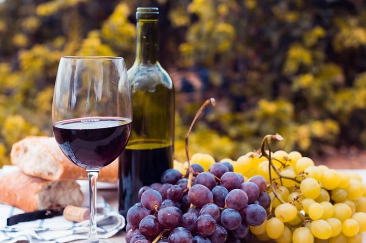 Private Premium Gastronomic Experience in Santiago 6