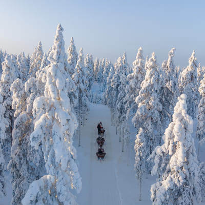 Snowy Forest Reindeer Ride in Rovaniemi - Image 5