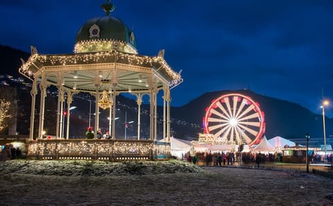 Private Winter Walking Tour of Bergen's Holiday Traditions
