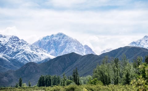 4-Day Adventure Tour in Mendoza with Canopy and Trekking