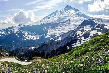 From Seattle – Enchanting Mt Baker and Cascades Tour in SUV