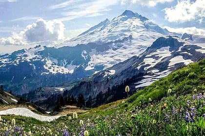 From Seattle – Enchanting Mt Baker and Cascades Tour in SUV