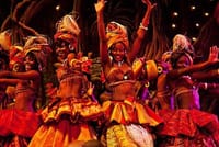 Safari Park Cat Dancers