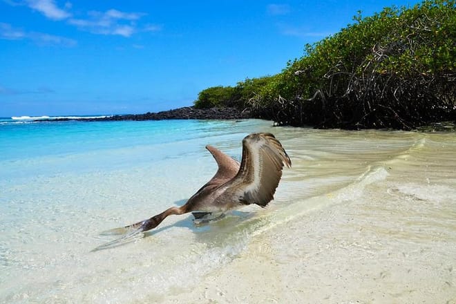  8-Day Galapagos Complete Island Hopping Adventure 7