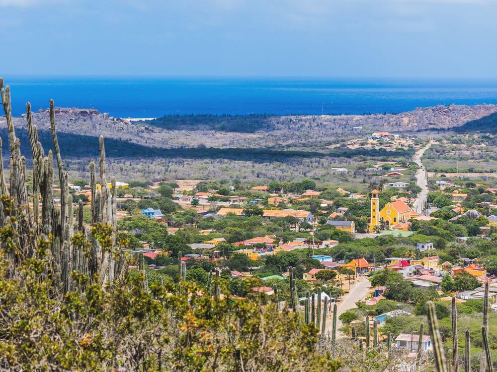 Rincon Visit with Local Guide