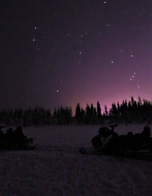 Searching for the Auroras