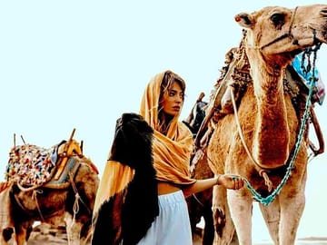 Camel Ride and Dinner Experience in Agafay Desert, Marrakech
