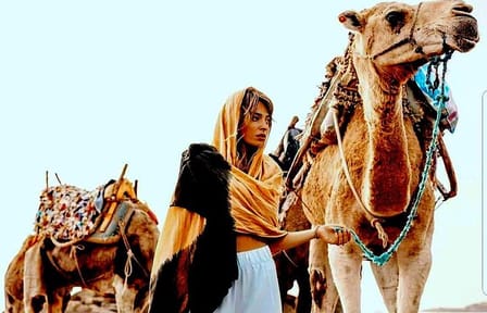 Camel Ride and Dinner Experience in Agafay Desert, Marrakech