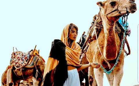 Camel Ride and Dinner Experience in Agafay Desert, Marrakech