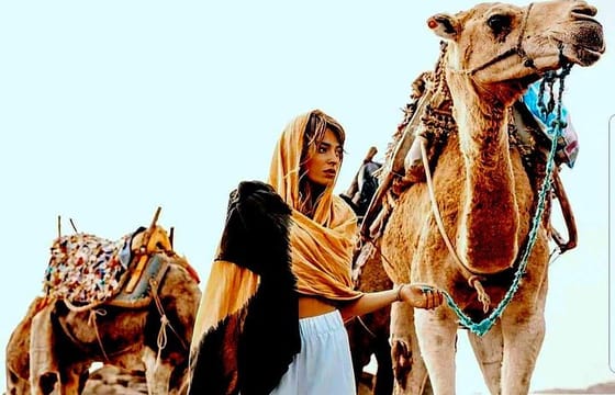 Marrakech: Agafay desert, Magical dinner & sunset and camel ride
