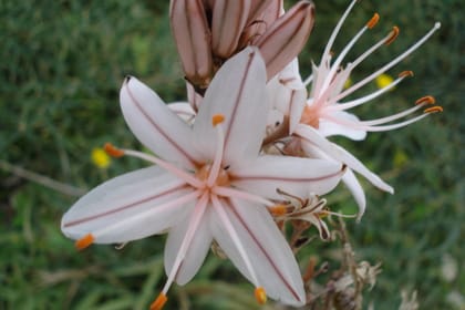 Gozo Nature Walking Tour (Private Tour With Customizable Itinerary)