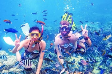 Snorkeling Adventure in Ras Mohammed National Park, Sharm El Sheikh