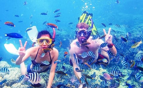 Snorkeling Adventure in Ras Mohammed National Park, Sharm El Sheikh