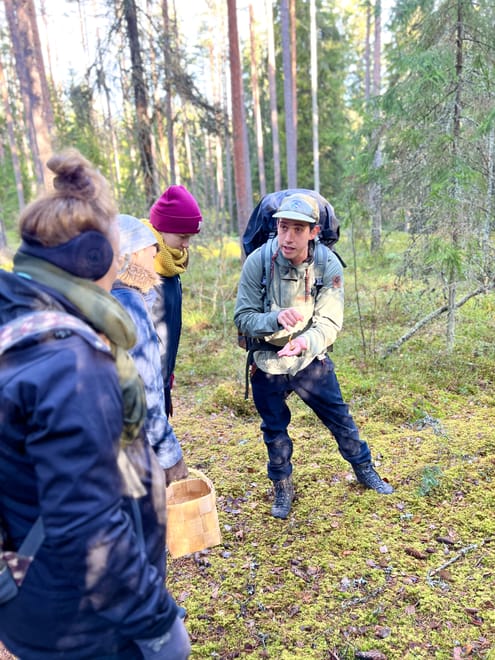 Mushroom Hunting photo 3