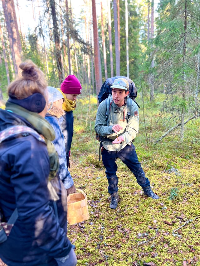Mushroom Hunting 3