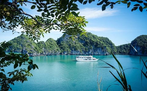 Overnight Cruise Tour in Bai Tu Long Bay from Hanoi