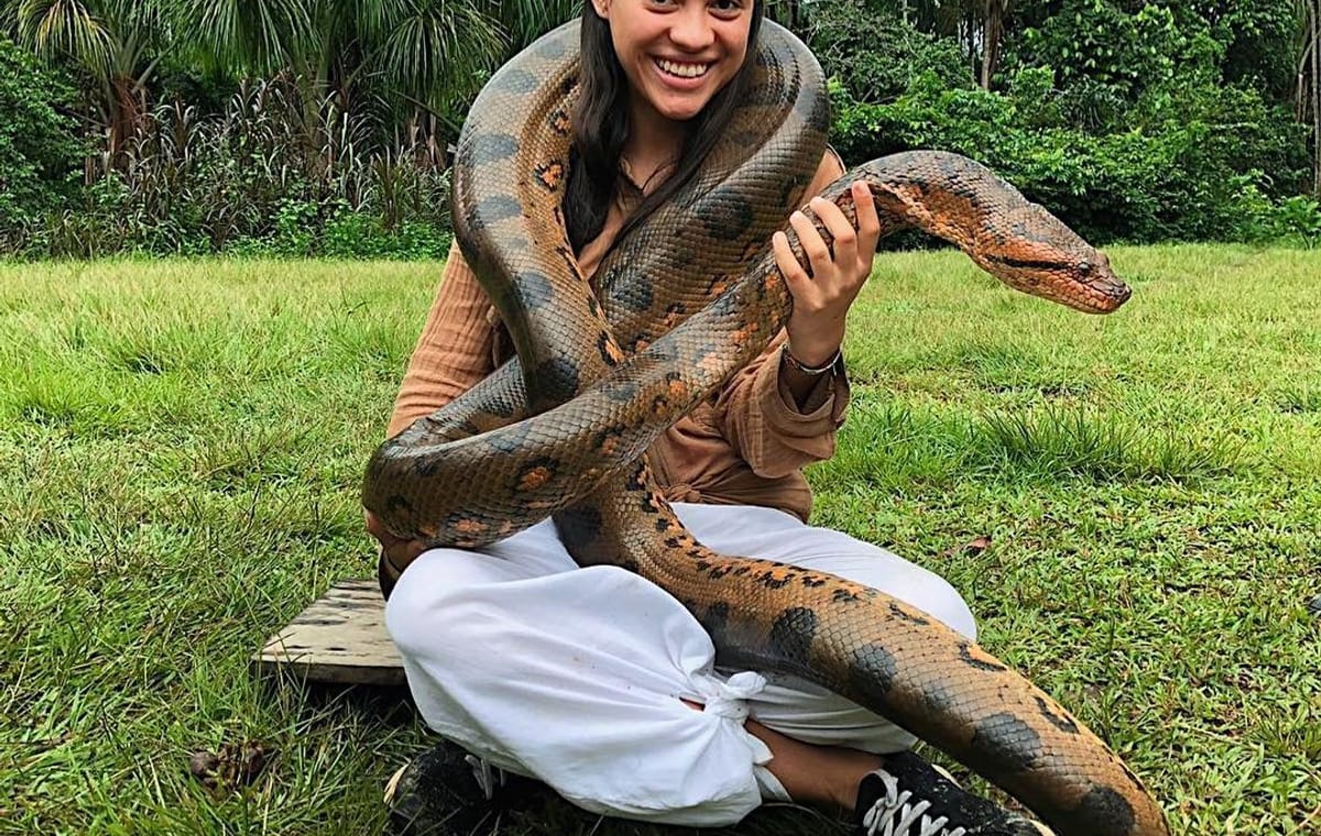 Three-Day Rainforest Adventure Tour from Iquitos, Peru