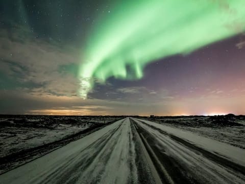 South Coast and Northern Lights: Private Day Tour from Reykjavik, photo 2