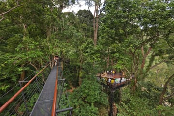Phuket Hanuman World Zip Line Adventure