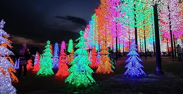 تأمل جمال الأشجار المضيئة في i-City، حيث تتحول الطبيعة إلى لوحة فنية من الألوان الزاهية!