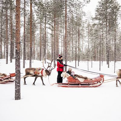 Sendero de Renos – Un paseo en trineo de renos de 400 metros con los renos de Santa Claus