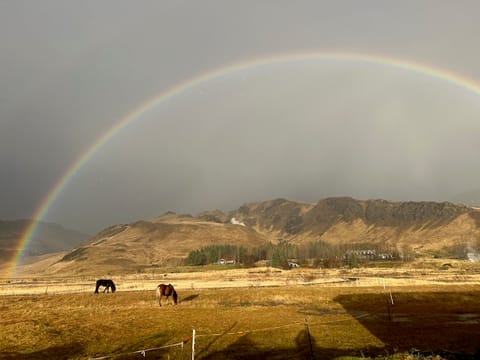 1 Hour Private Horseback Riding - Join us for an unforgettable adventure, where you can connect with these magnificent animals., photo 3