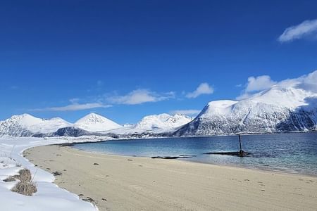 Tromsø Arctic Fjords Adventure Tour with Local Lunch