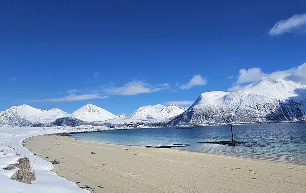 Tromsø Arctic Fjords Adventure Tour with Local Lunch