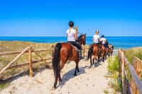 Antalya: Forest Horseback Riding with Lara Beach Photo Stop 3