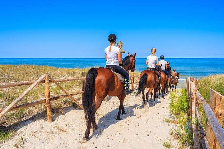 Antalya: Forest Horseback Riding with Lara Beach Photo Stop 3