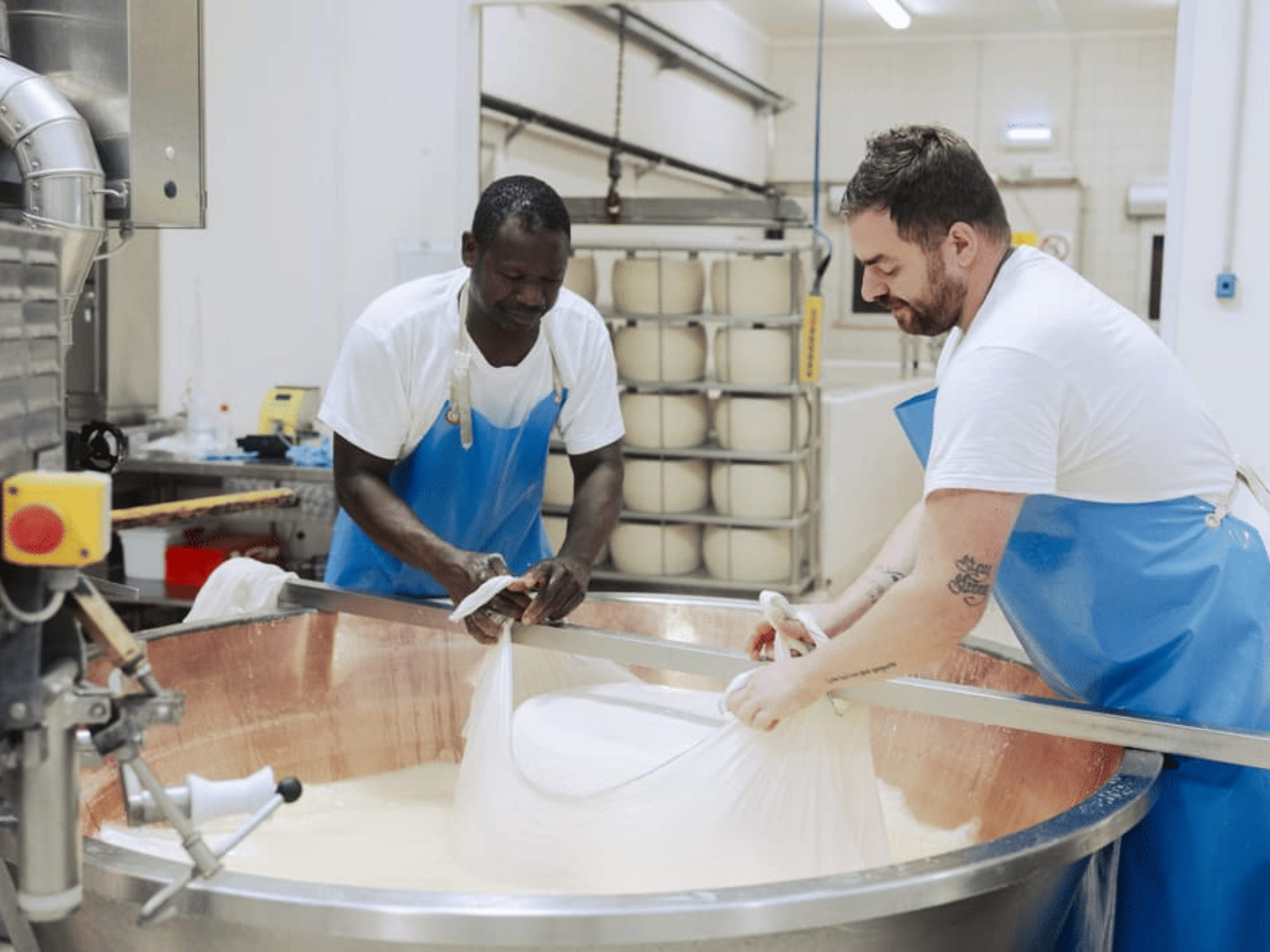 Parmesan Cheese Factory Tour & Tasting near Parma