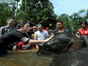 Elephant Sanctuary & Fireflies Combo Tour on Private Basis