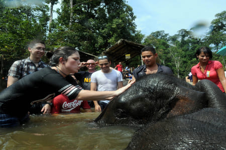 Private Elephant Sanctuary Tour