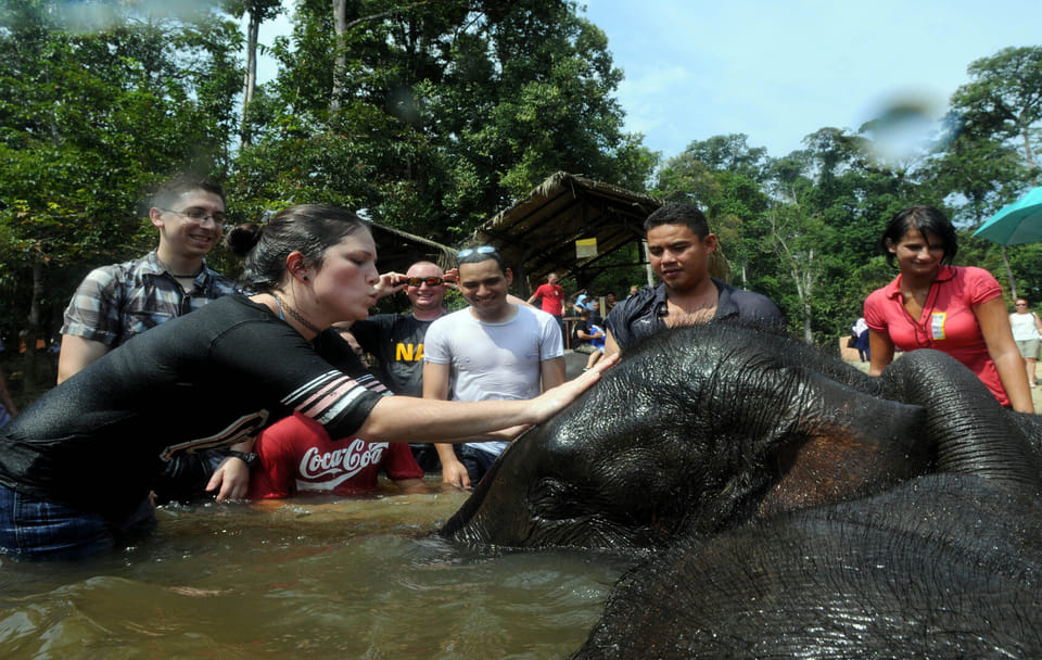 Elephant Sanctuary and Wildlife Tour in Lanchang, Malaysia