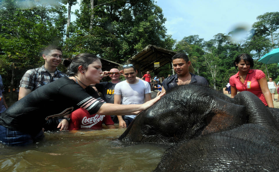 Elephant Sanctuary and Wildlife Tour in Lanchang, Malaysia