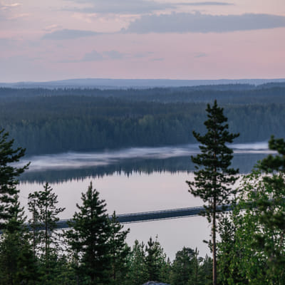 Keskiyön auringon sähköpyöräretki porotilalla Rovaniemellä
