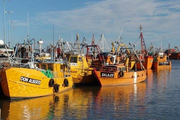 Chubut River Valley with Gaiman Welsh Village from Puerto Madryn
