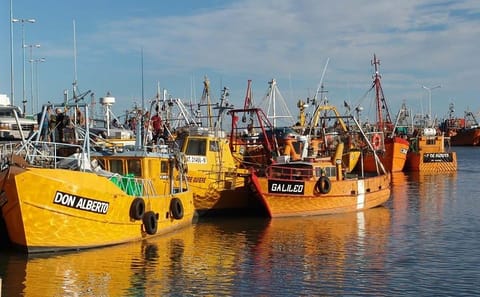 Chubut River Valley and Gaiman Welsh Village Tour from Puerto Madryn