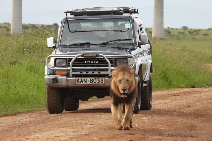Tour: Giraffe Center and Nairobi National Park 10