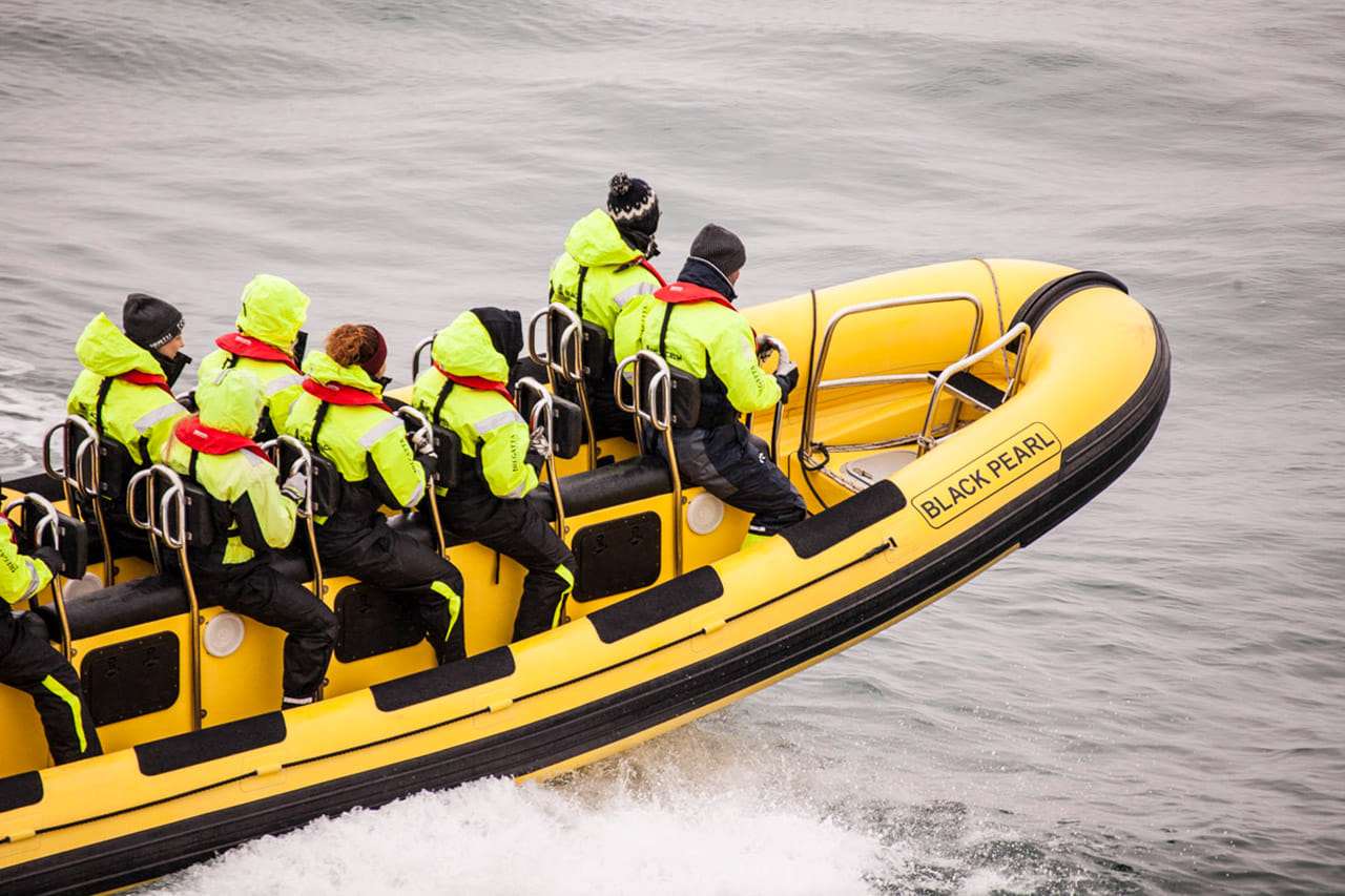 Whale  Watching from Downtown Reykjavik by RIB Speedboat  5