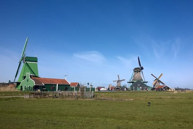Private Day Tour of Tulips and Windmills Including a Pancake Lunch photo 5
