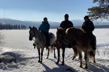 A small group horseback riding tour in the snow