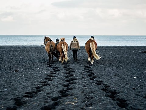 Black Sand Beach Tour , photo 2