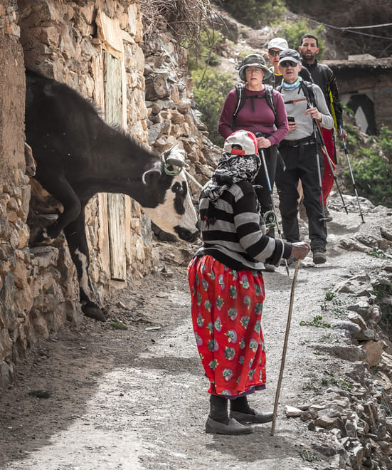 Pure High Atlas at a Local Village | | 1 Day : Private & Luxury 5