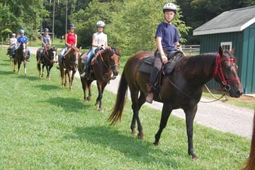 Horseback Riding Tour in Çamyuva, Kemer with Transfers