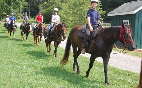 Horseback Riding Tour in Çamyuva, Kemer with Transfers