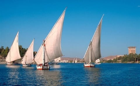 Felucca Ride and Banana Island Visit in Luxor, Egypt
