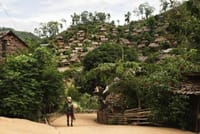 CHIANG MAI: Half Day Tour to Doi Suthep Temple+Meo Village 6