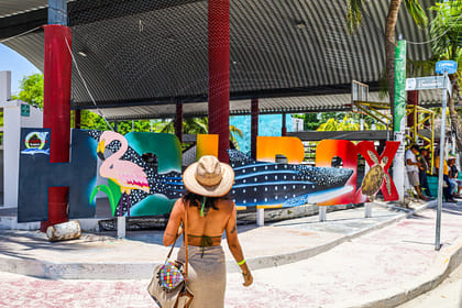 Holbox Island Day Trip with Birdwatching and Beach Lunch